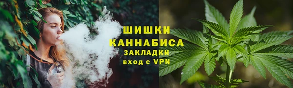 дживик Аркадак
