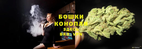 амф Арсеньев