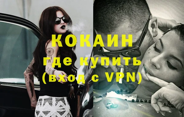 дживик Аркадак