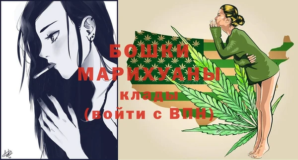 дживик Аркадак