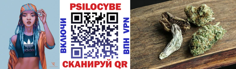 где можно купить Балабаново это как зайти Галлюциногенные грибы Cubensis