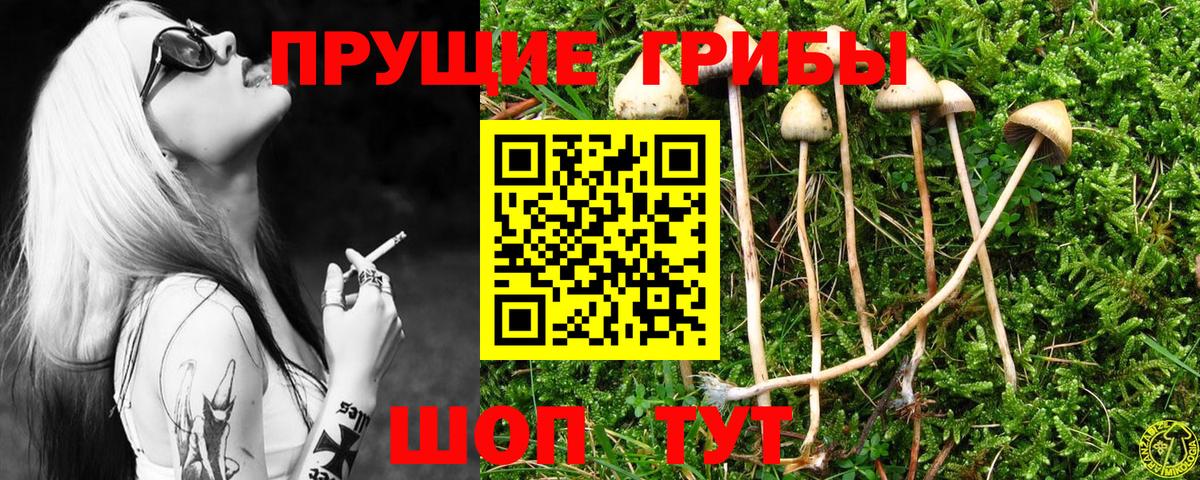 Галлюциногенные грибы Cubensis  Вход с VPN  Балабаново  Псилоцибиновые грибы Psilocybe 