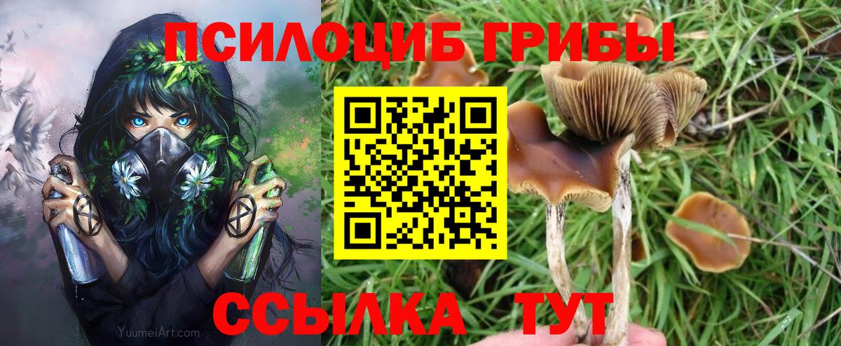 Галлюциногенные грибы Cubensis Балабаново